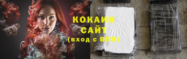 ПСИЛОЦИБИНОВЫЕ ГРИБЫ Горнозаводск