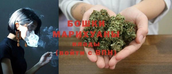 прущие крисы Вязьма