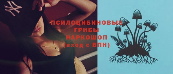 трава Горно-Алтайск