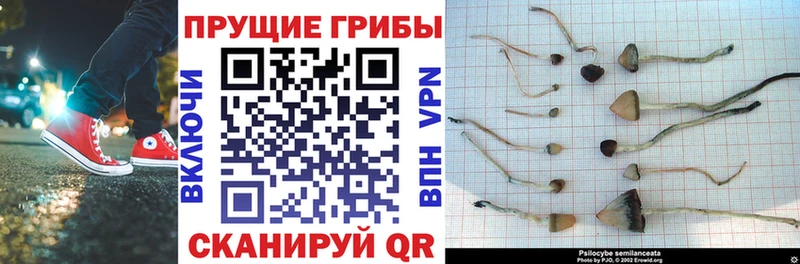 Галлюциногенные грибы GOLDEN TEACHER  Задонск 